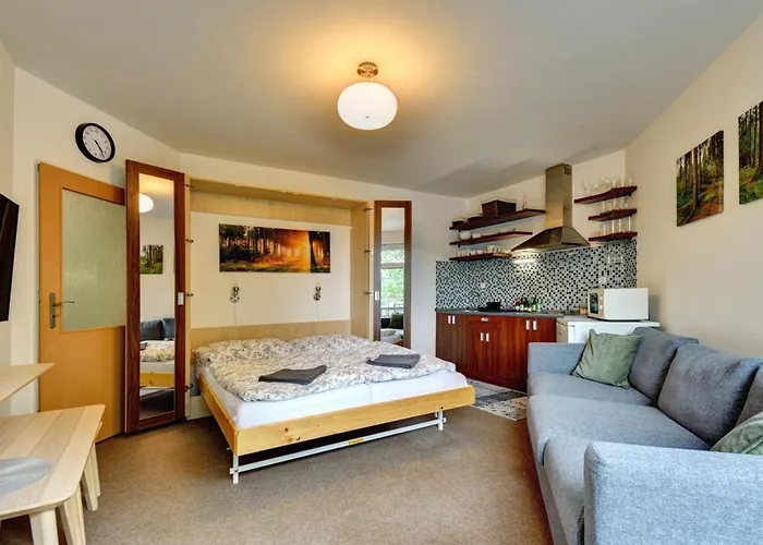 Apartman Modra Hvezda *